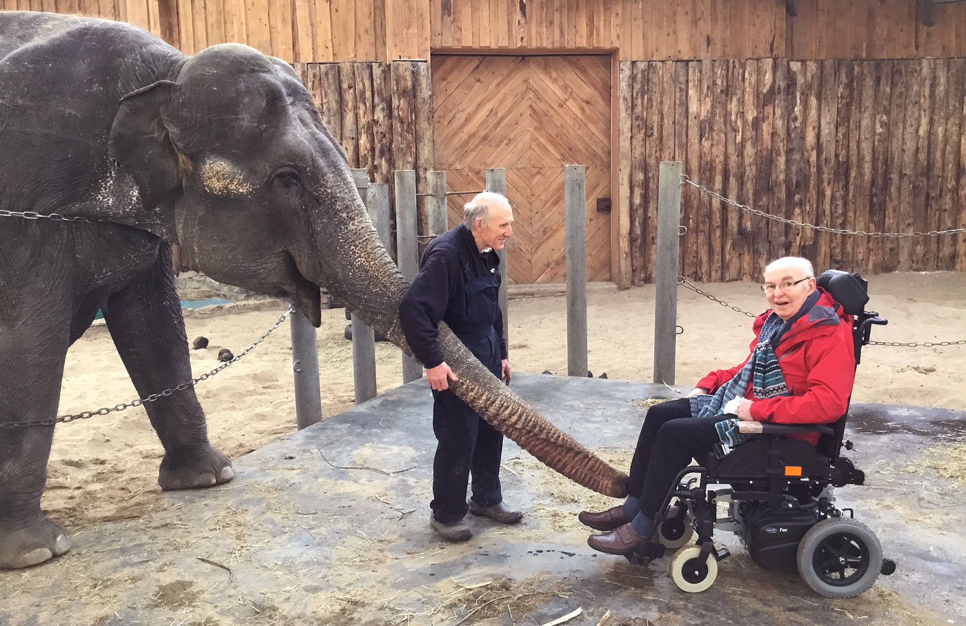 A patient at Skanda Vale Hospice meets Valli the temple elephant